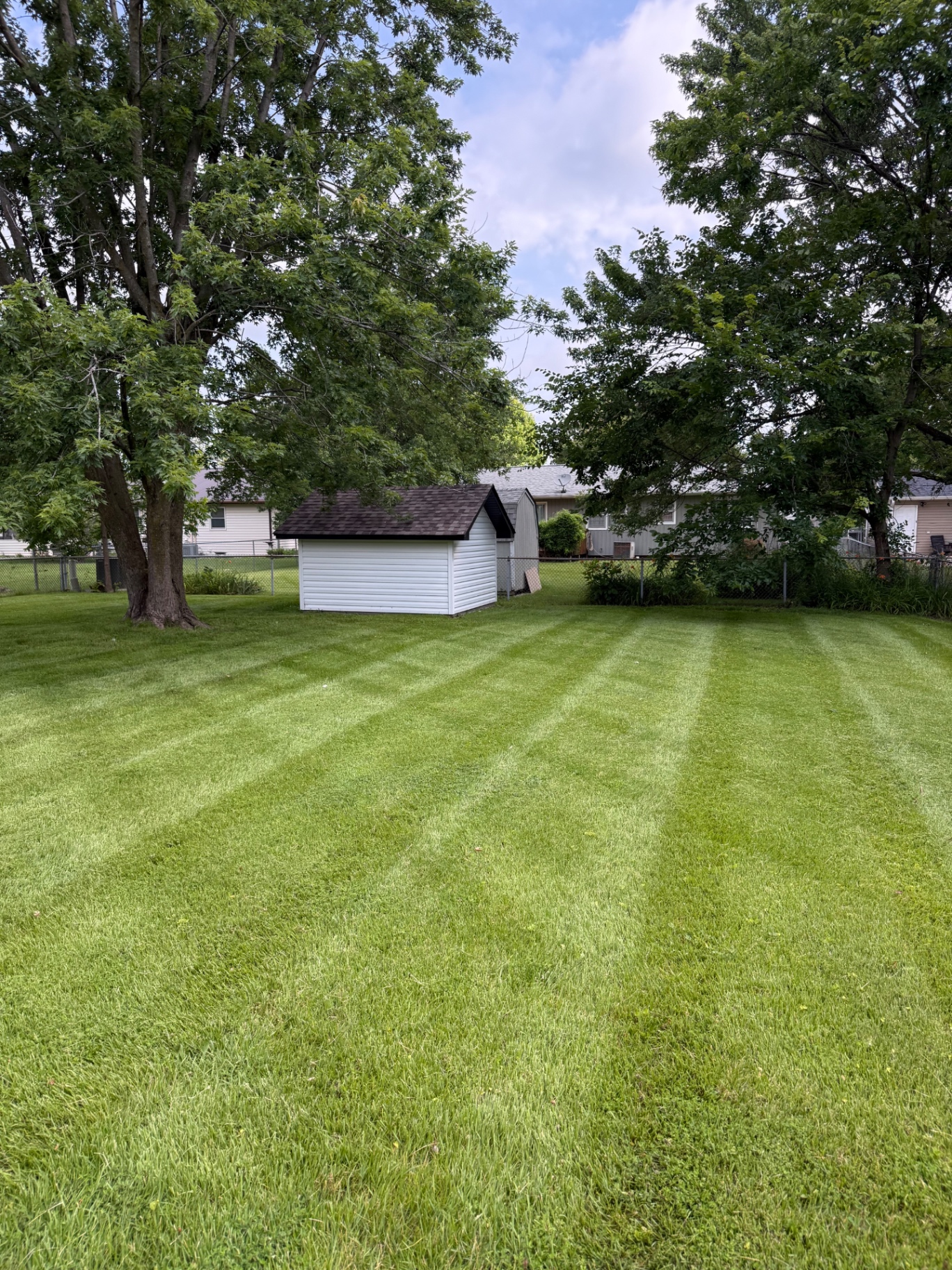 Backyard lawn with sharp mowing stripes under shade trees